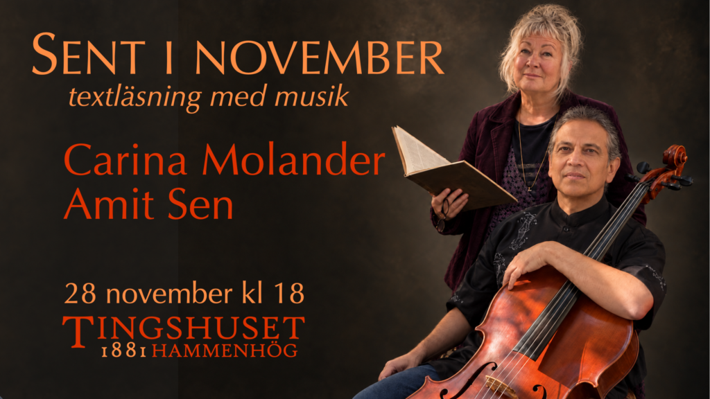 Sent i november - soppa, saga, cello & samtal