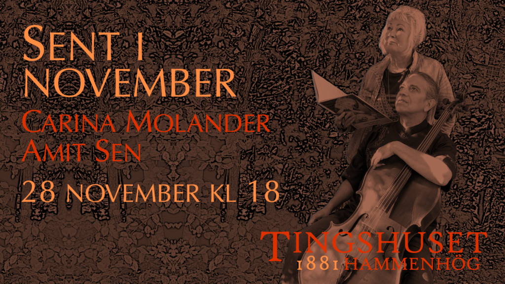 Sent i november - soppa, saga, cello & samtal